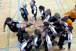 Bild zur Sportart Handball