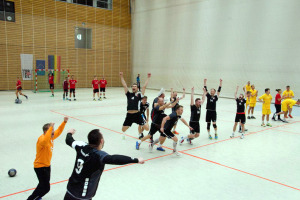 Bild zur Sportart Handball